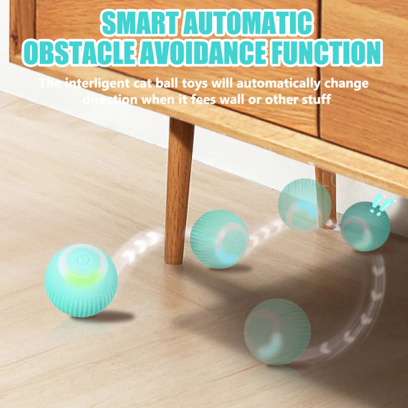 Aiitle Interactive Cat Hunting Toy