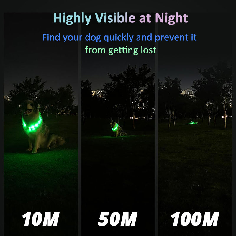 Aiitle Rechargeable LED Dog Collar
