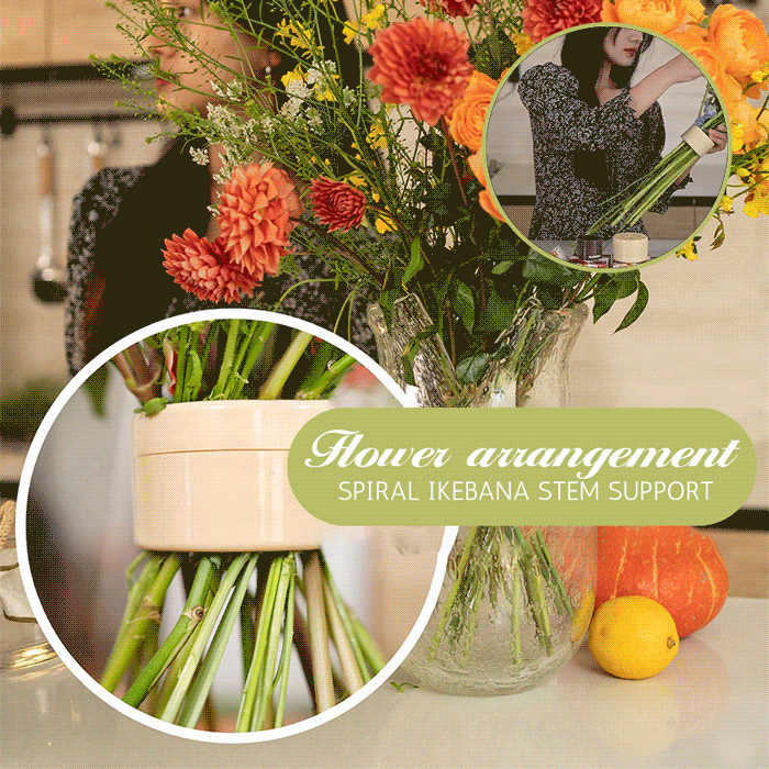 Aiitle Spiral Ikebana Stem Holder