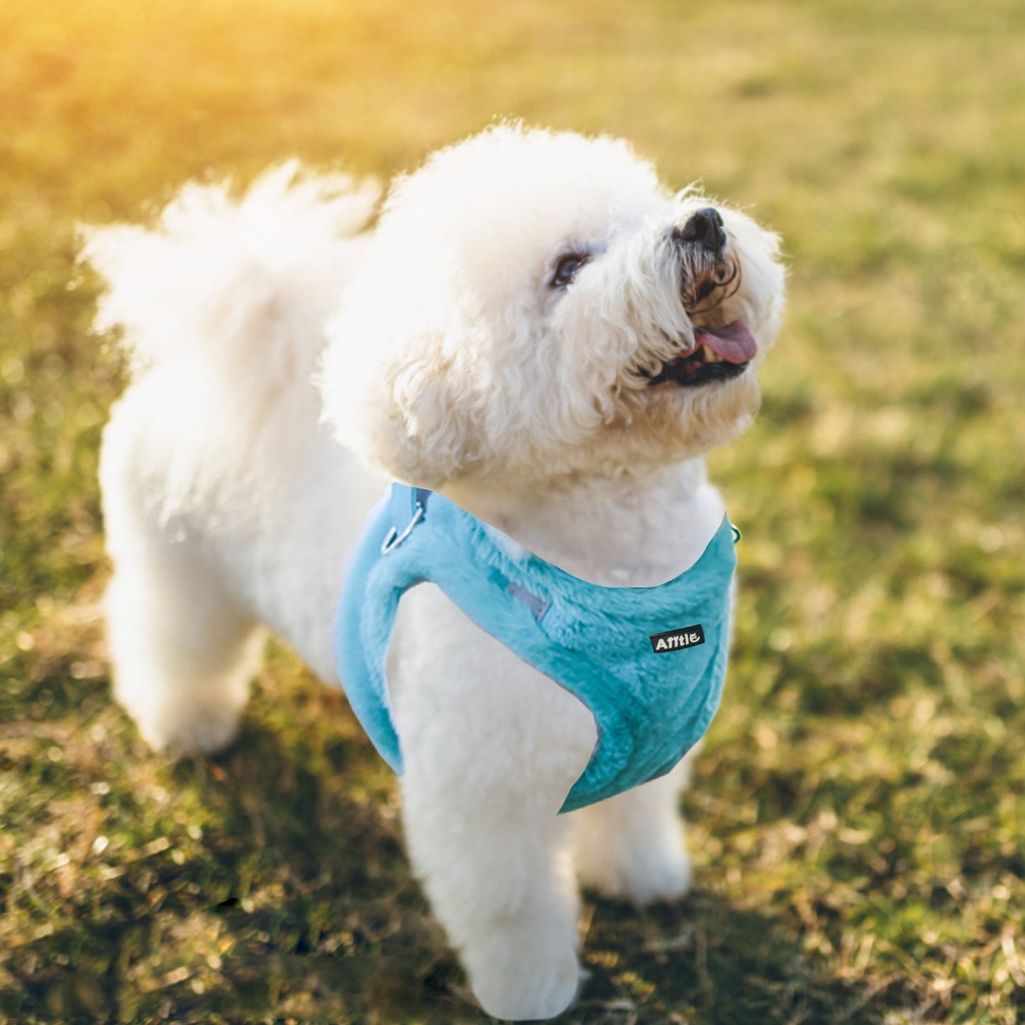 AIITLE Reflective Plush Fabric Dog Winter Harness and Leash Set, No Pull Vest | AIITLE