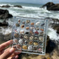 Aiitle Acrylic Magnetic Seashell Display Box