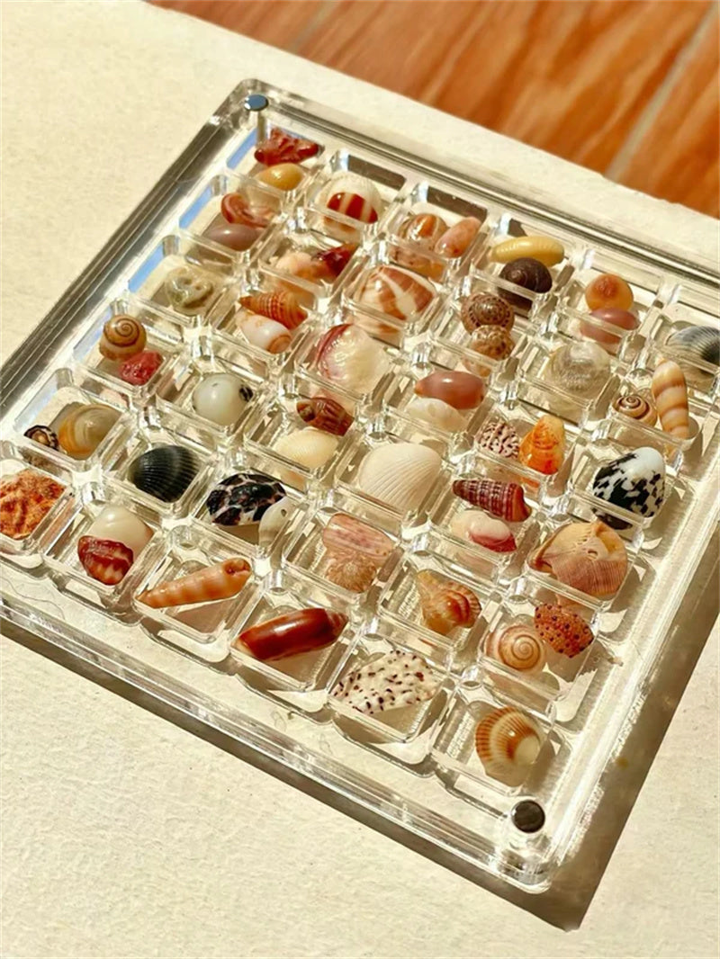 Aiitle Acrylic Magnetic Seashell Display Box