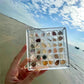 Aiitle Acrylic Magnetic Seashell Display Box