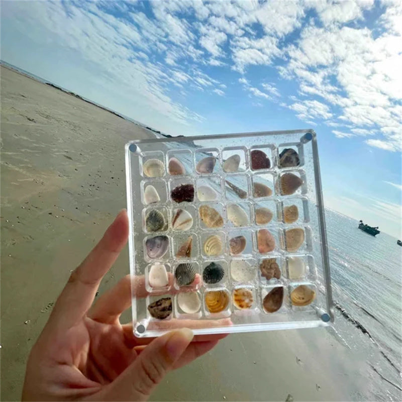 Aiitle Acrylic Magnetic Seashell Display Box