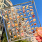 Aiitle Acrylic Magnetic Seashell Display Box