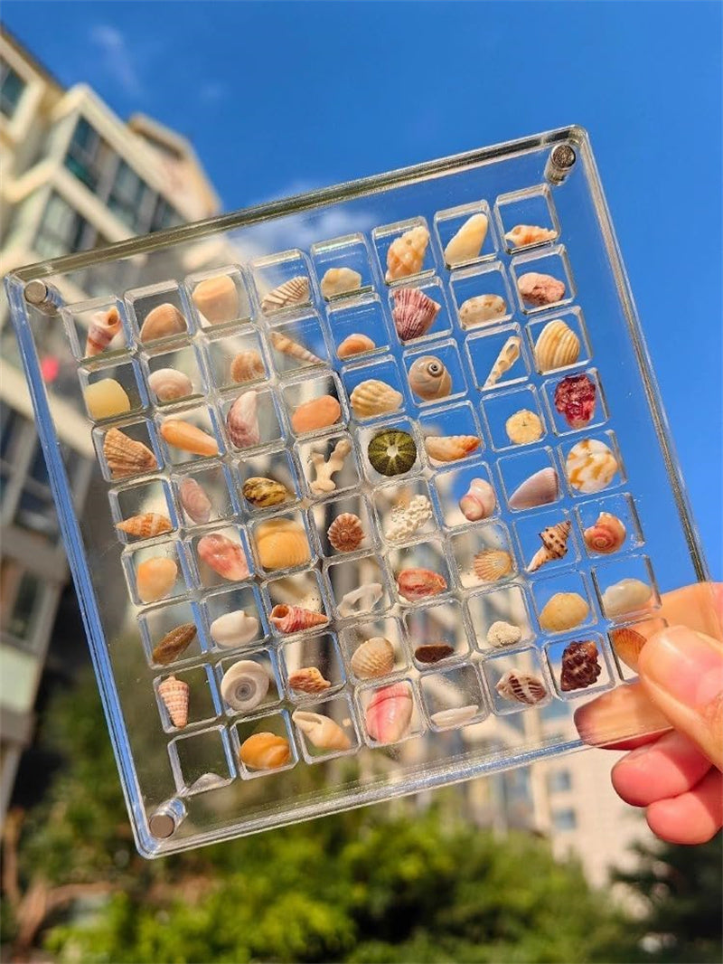 Aiitle Acrylic Magnetic Seashell Display Box