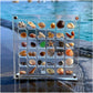 Aiitle Acrylic Magnetic Seashell Display Box