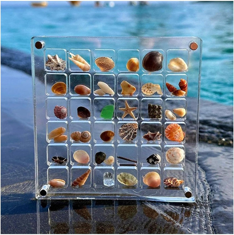 Aiitle Acrylic Magnetic Seashell Display Box