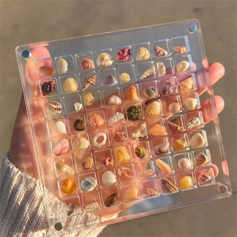 Aiitle Acrylic Magnetic Seashell Display Box