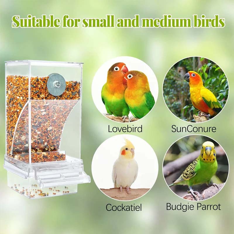 Aiitle Automatic No-Spill Transparent Bird Feeder