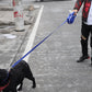 Aiitle Built-in Water Bottle 4 in 1 Dog Retractable Leash