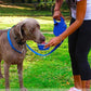 Aiitle Built-in Water Bottle 4 in 1 Dog Retractable Leash