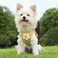 Aiitle Cute 3D Flower Breathable Dog Harness