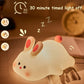 Aiitle Cute Rabbit Touch Night Light