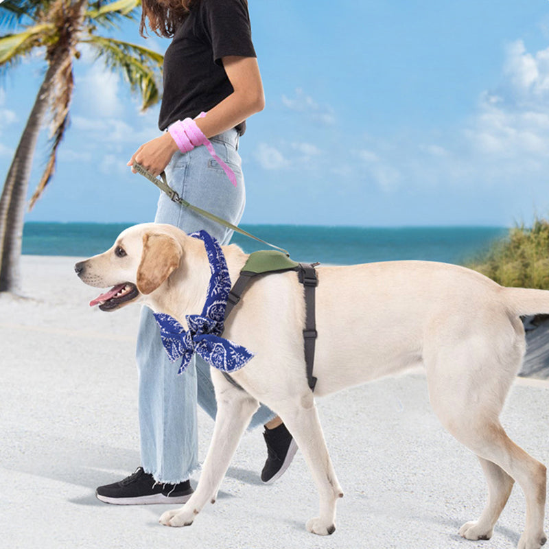 Aiitle Dog Cooling Bandana