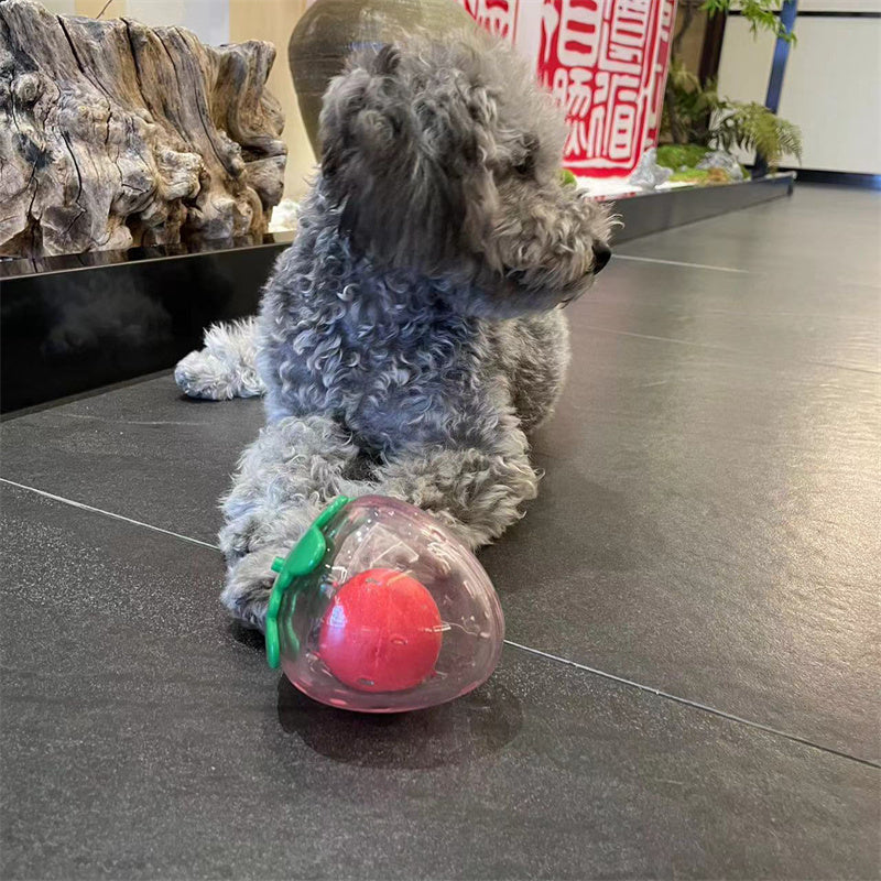 Aiitle Dog Squeaky Strawberry Chew Toy