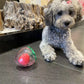 Aiitle Dog Squeaky Strawberry Chew Toy