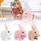 Aiitle Educational Interactive Toys Easter Bunny Can Walk and Talk