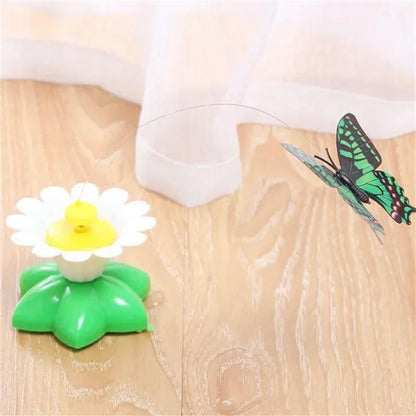 Aiitle Electric Rotating Bird & Butterfly Teasing Cat Toy