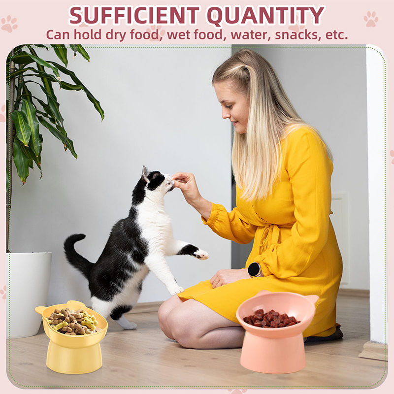 Aiitle Ergonomic Tilted Cat Bowl Buy 1 Get 1 Free