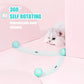 Aiitle Interactive Cat Hunting Toy