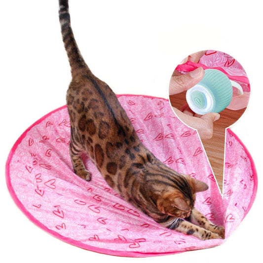 Aiitle Interactive Cat Hunting Toy