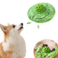 Aiitle Interactive Dog Squeaky Toy