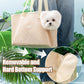 Aiitle Mesh Escape Proof Pet Carrier Bag