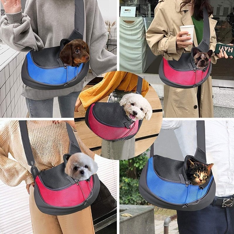 Aiitle Pet carrier for Cats and Small Dogs