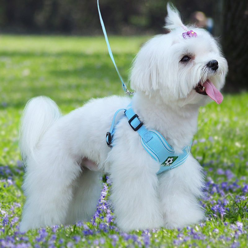 Aiitle Sports Style Breathable Dog Harness