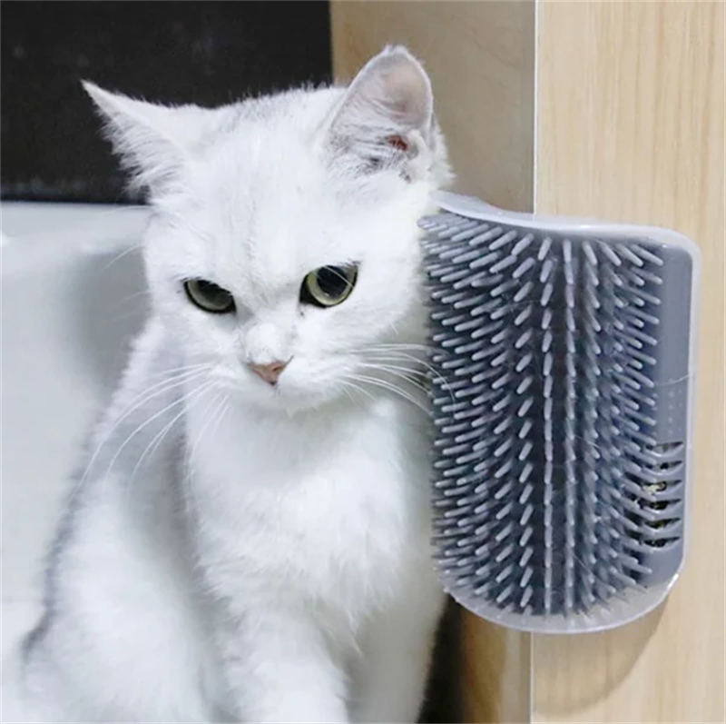 Aiitle Upgrade Corner Massage Cat Brush Buy 1 Get 1 Free