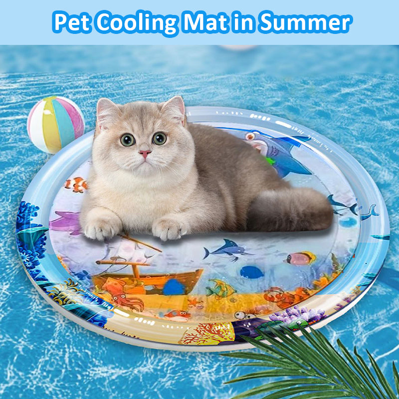 Aiitle Upgraded Pet Water Mat Toy