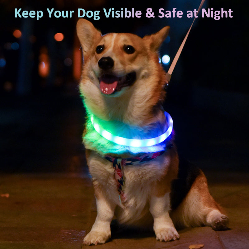 Aiitle Rechargeable LED Dog Collar