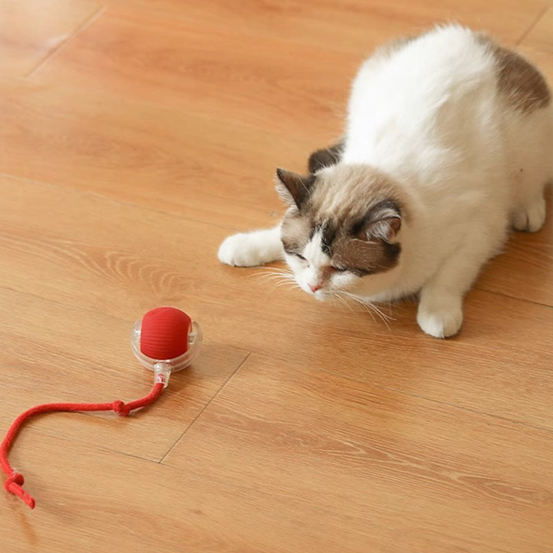 Aiitle Interactive Automatic Rolling Ball Pet Toy