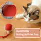 Aiitle Interactive Automatic Rolling Ball Pet Toy