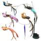 Aiitle Interactive Bird Toy Set for Indoor Cats