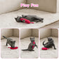Aiitle Funny Cartoon Cat Chew Toys 5 Pcs Set