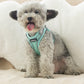 Aiitle Soft Adjustable Mesh Dog Harness Leash Set Turquoise