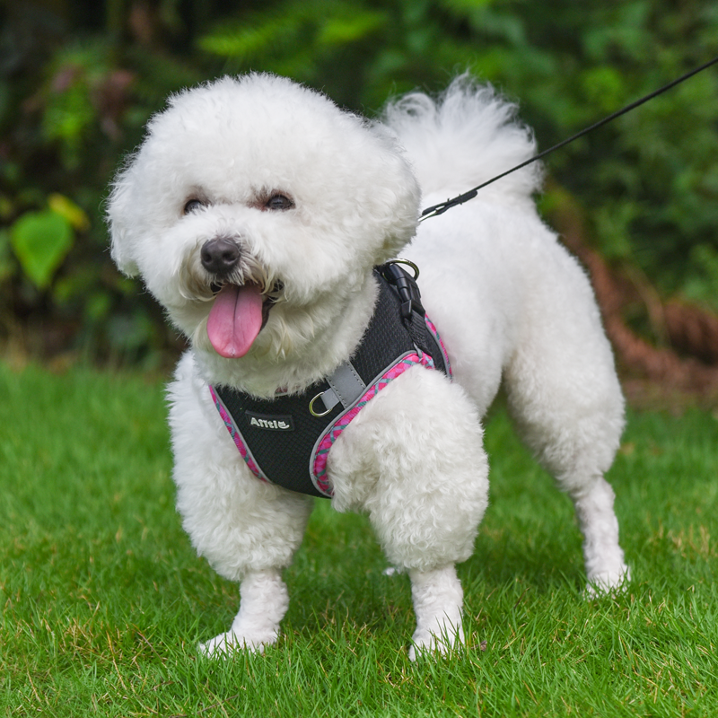 Aiitle Step in Breathable Air Mesh Dog Harness