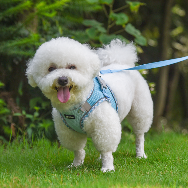 Aiitle Step in Breathable Air Mesh Dog Harness Blue