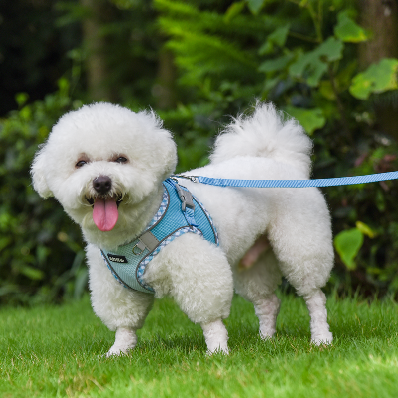 Aiitle Step in Breathable Air Mesh Dog Harness Blue