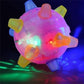 Aiitle Jumping Activation Ball for Pet (2 pcs set)