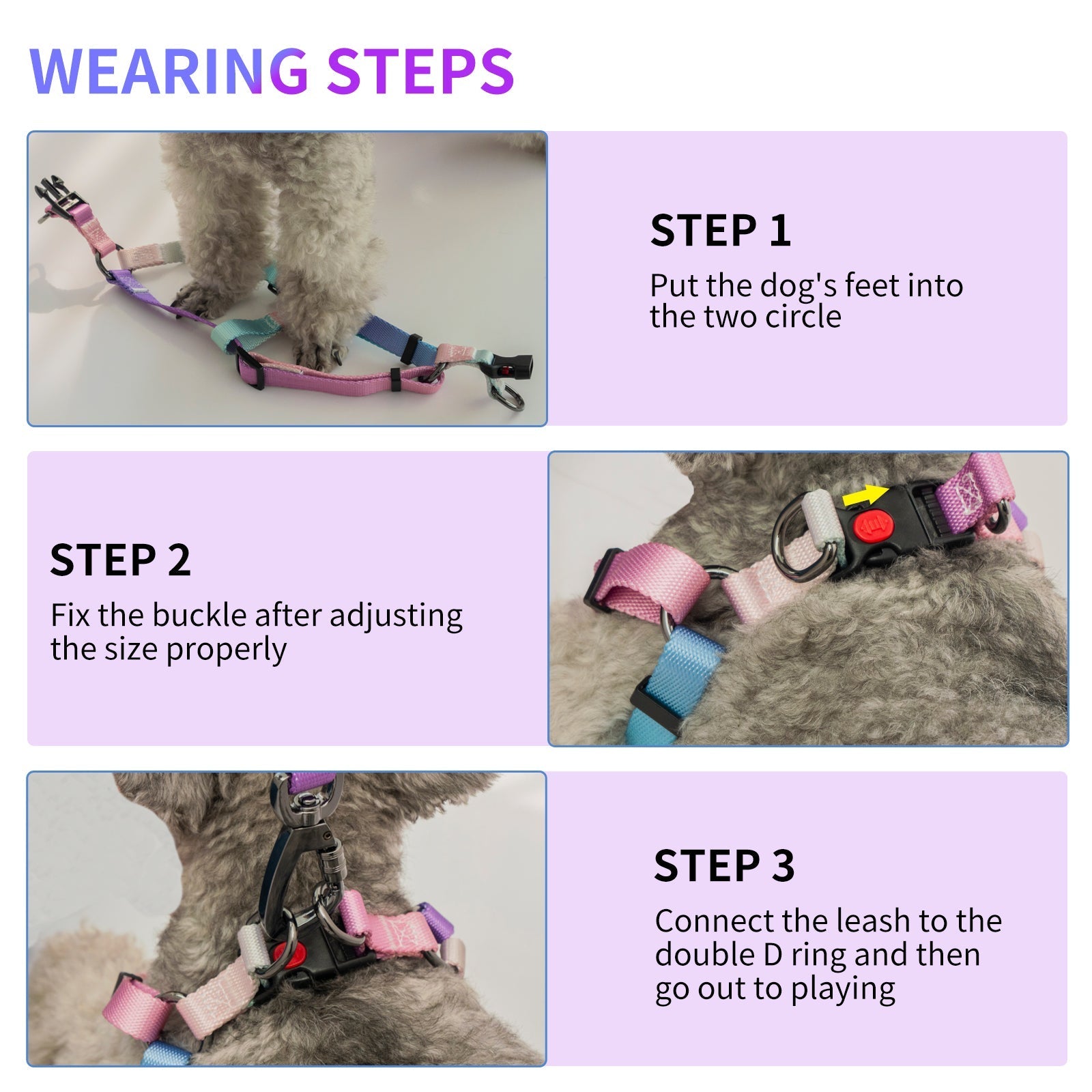 AIITLE Step in Dog Harness Collar Leash Set - Adjustable Heavy Duty No Pull | AIITLE