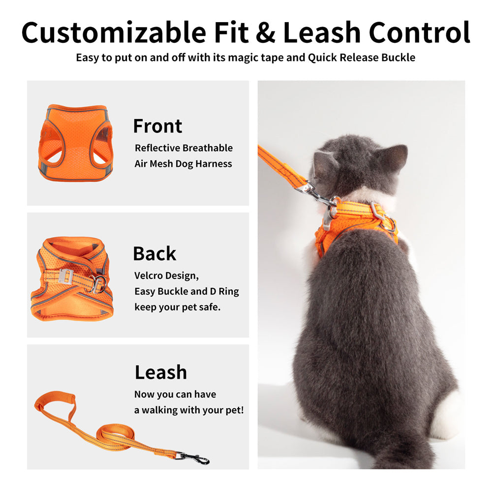 Aiitle Clearance Sale🔥- Step in Cat Dog Harness Leash Set