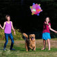 Aiitle Jumping Activation Ball for Pet (2 pcs set)
