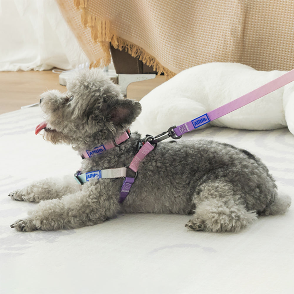 Aiitle New Adjustable Step in Dog Harness Leash Set Pink
