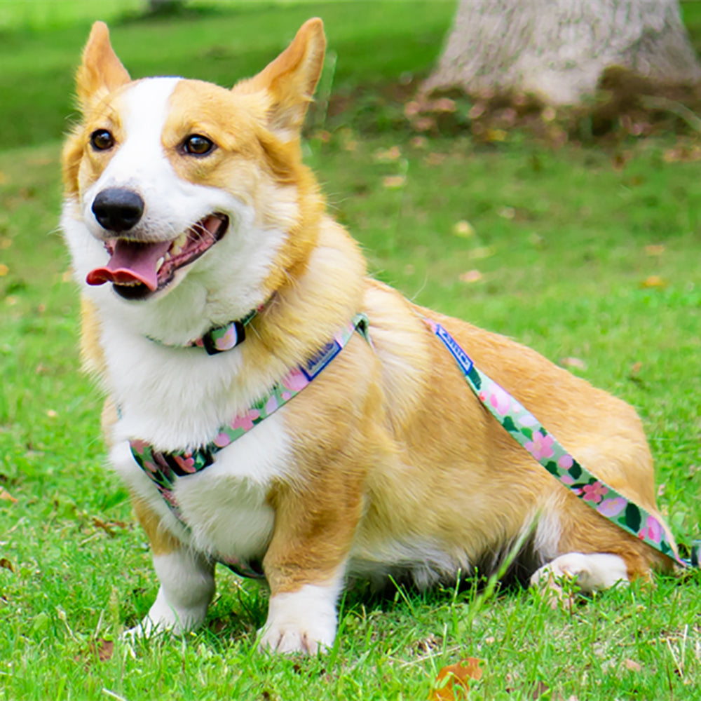 Aiitle New Adjustable Step in Dog Harness Leash Set Green Flower