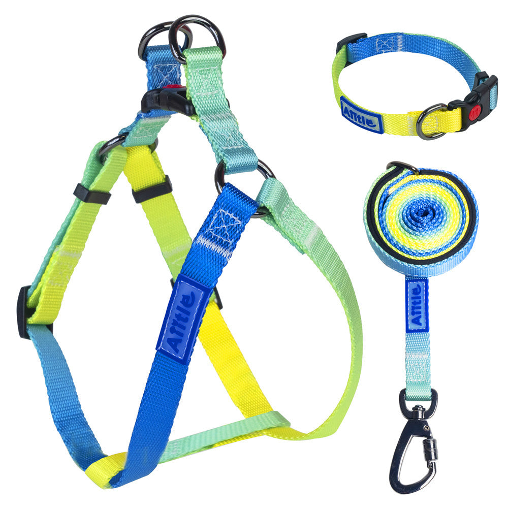 Aiitle New Adjustable Step in Dog Harness Leash Set Green Flower