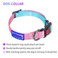 AIITLE Step in Dog Harness Collar Leash Set - Adjustable Heavy Duty No Pull | AIITLE