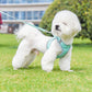 Aiitle Upgraded 3D Mesh Dog Harness